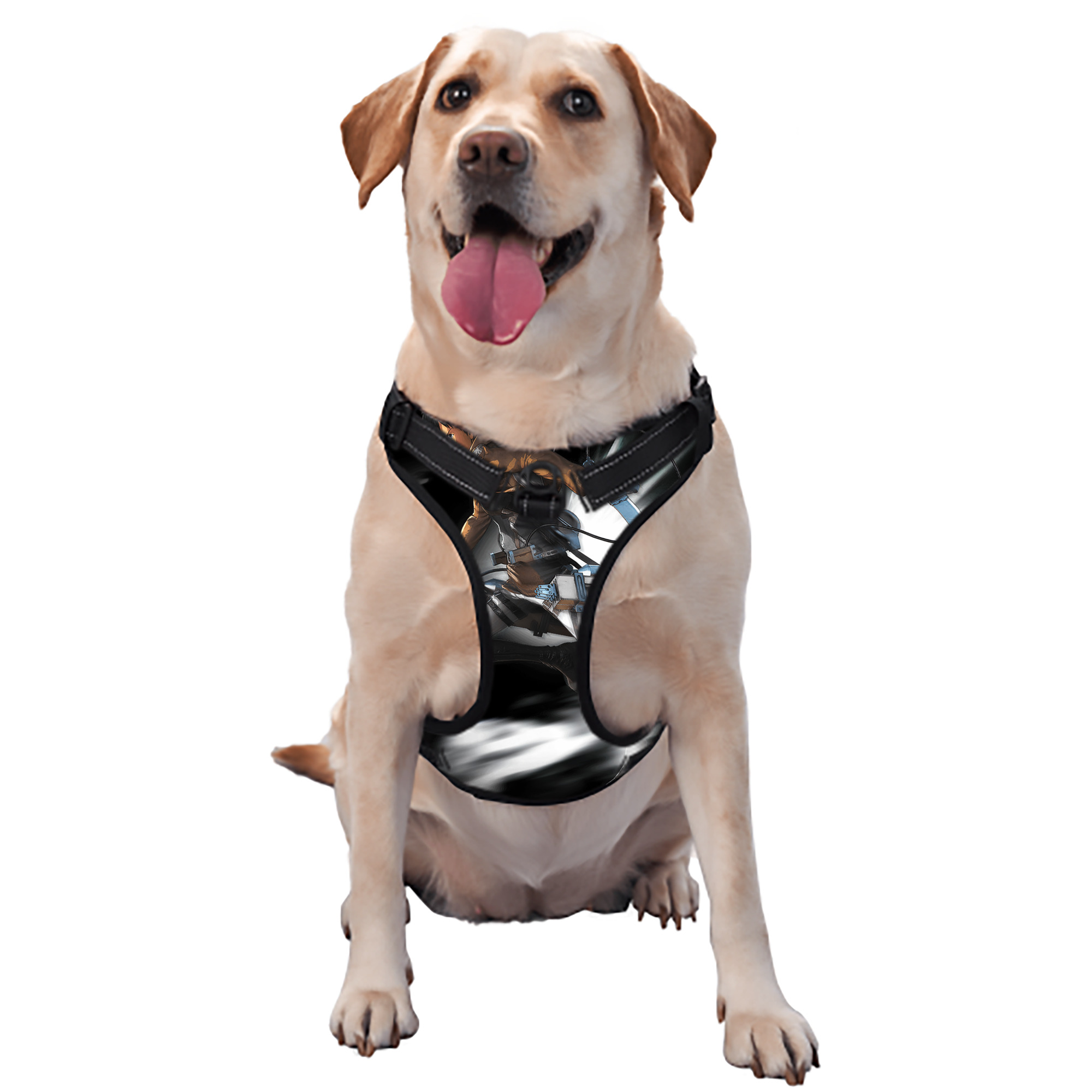 （画像用） 進撃の巨人 ベルトルト・フーバー Attack on Titan Bertholdt Hoover ペット用ハーネス